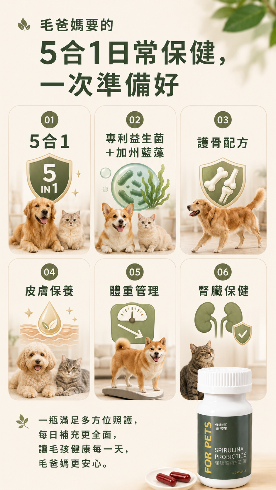 毛爸媽的日常小煩惱