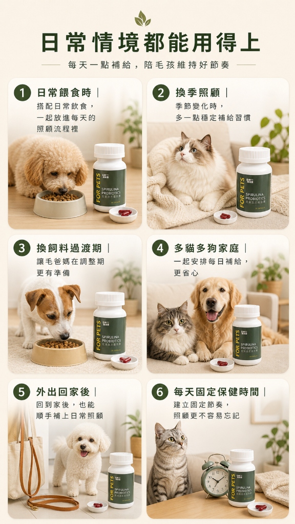 日常情境都能用得上