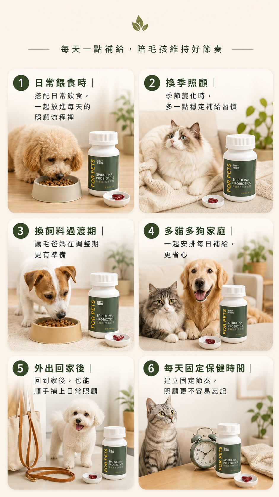 日常情境都能用得上