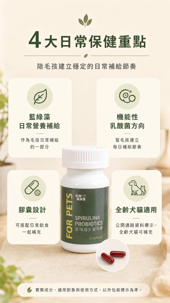 4大日常保健重點